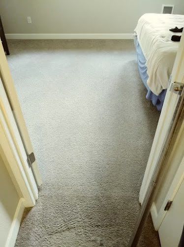 220412 absolute carpet cleaning inc