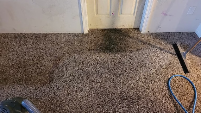 220435 portland rug cleaning 768x432