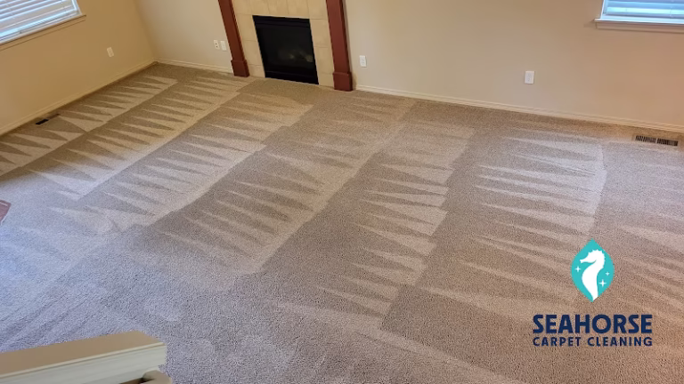 220449 seahorse cleaning restoration 768x432