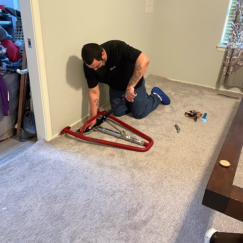 220477 nicholas carpet care llc