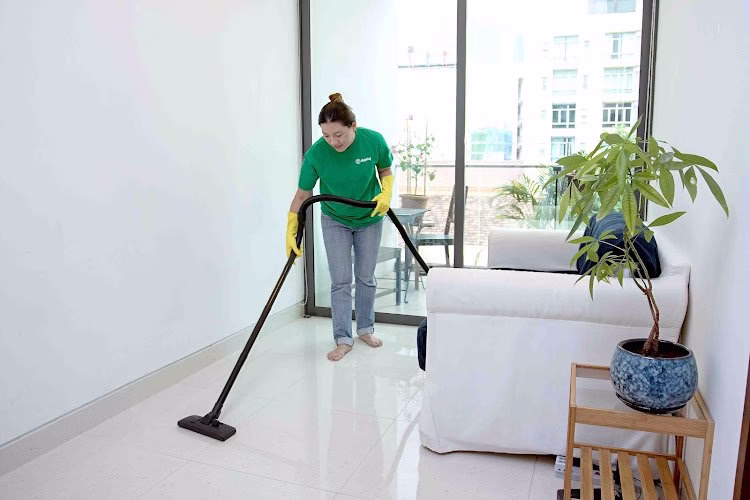 220498 hobbs brothers carpet cleaning service