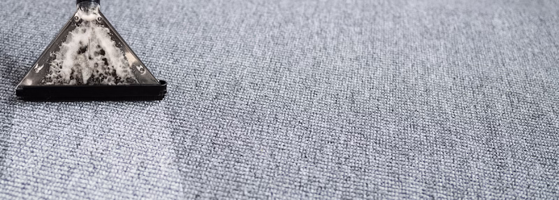 220500 the giants carpet cleaners