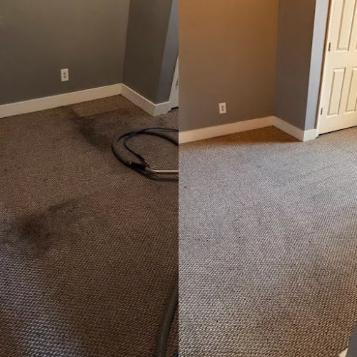 220563 kaufman carpet cleaning