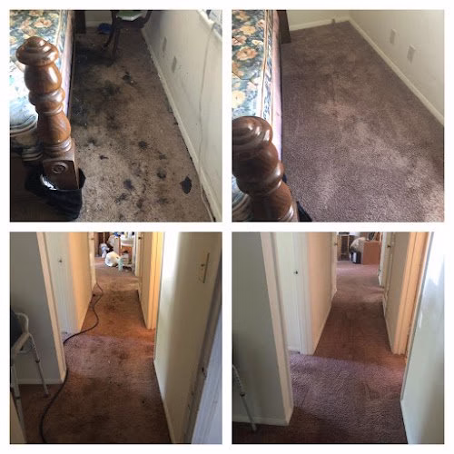 220585 the cleaning clinic