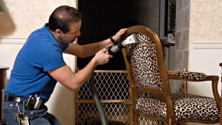 220626 catonsville carpet cleaning 768x432