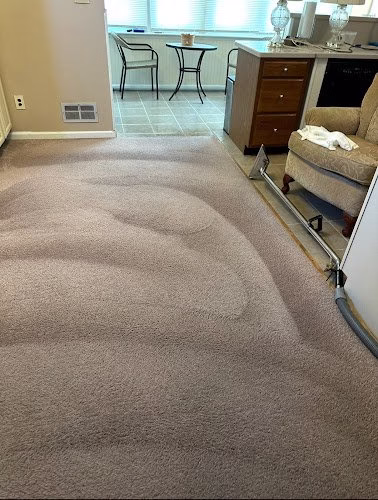 220632 davids carpet and upholstery cleaning