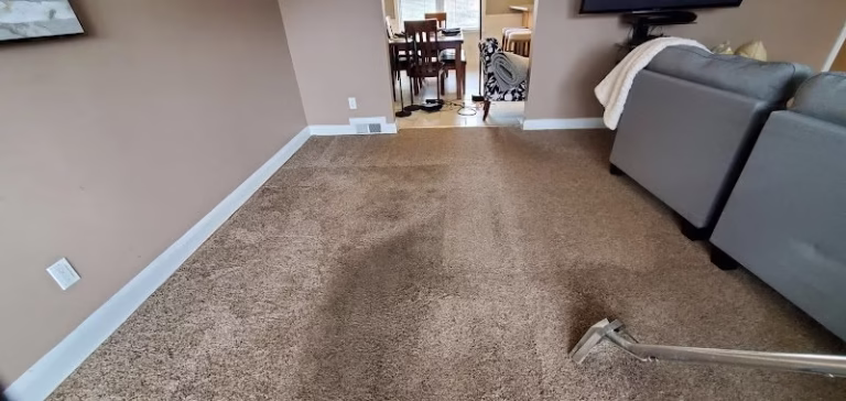 220645 extreme carpet cleaning llc 768x364