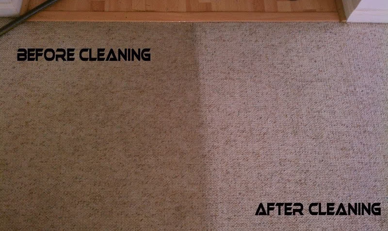 220666 curtis fiber cleaning