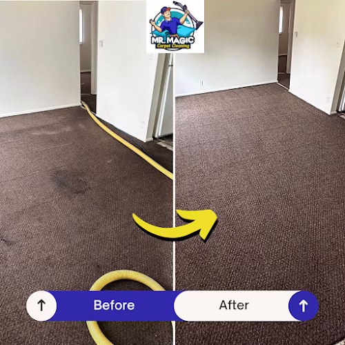 220691 mr. magic carpet cleaning