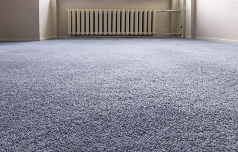 220721 dancare carpet cleaning