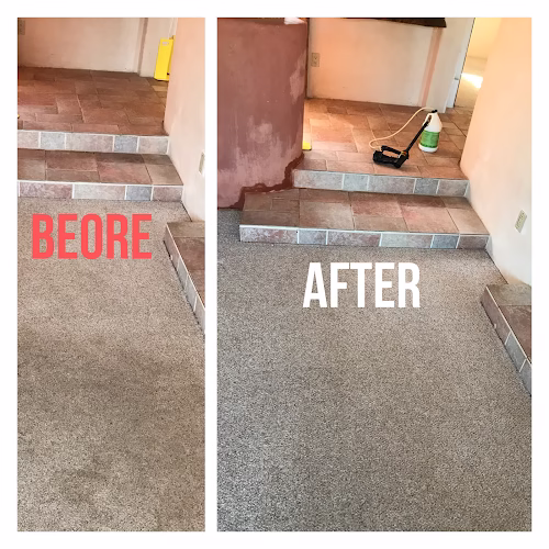 220734 power clean carpet cleaning