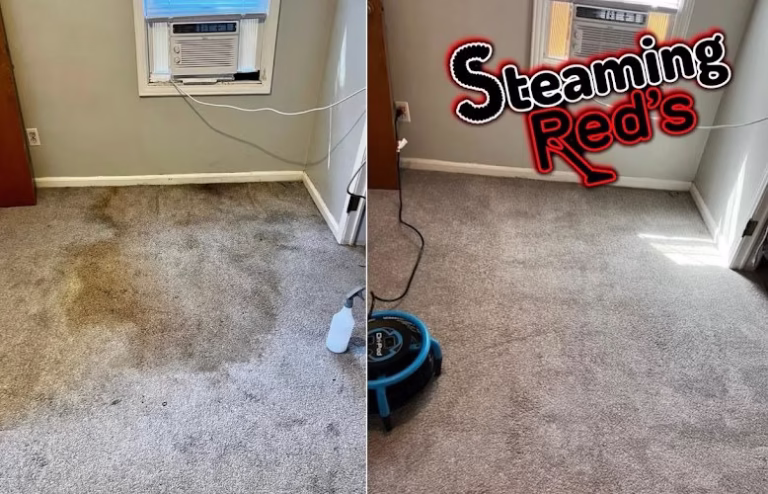 220792 steaming reds carpet upholstery cleaning 768x494