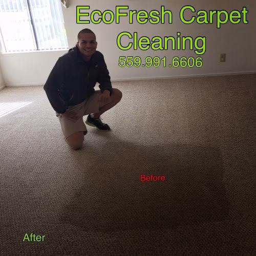 220910 ecofresh carpet cleaning