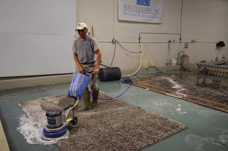 221036 ss rug cleaners inc