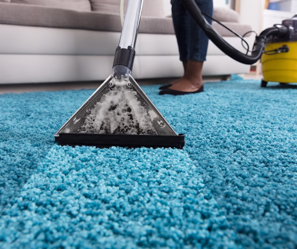 221104 town country carpet cleaning