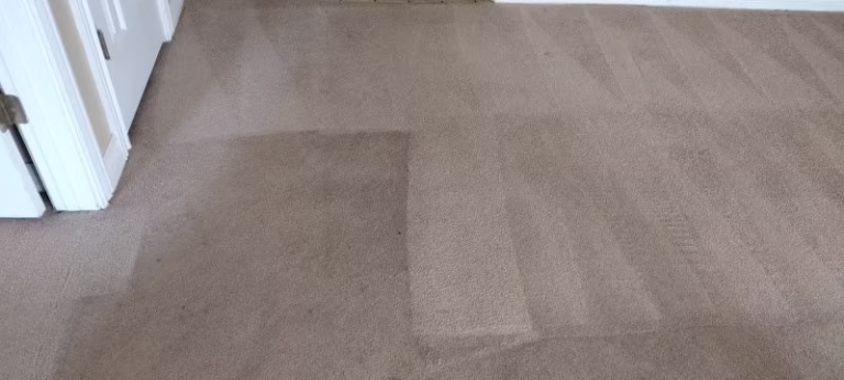 221135 scrubber ducky carpet cleaning 768x346