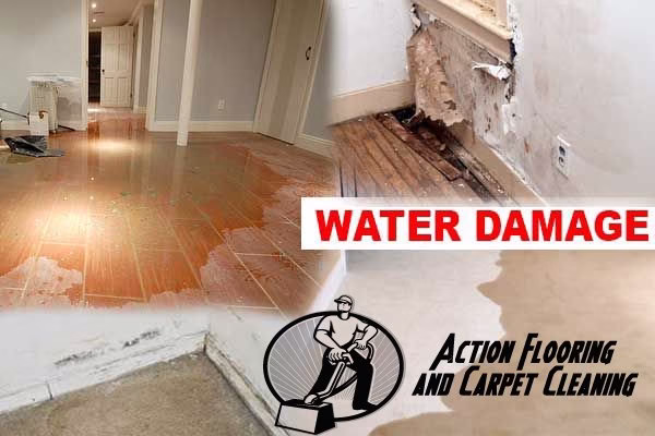 221219 action flooring carpet cleaning