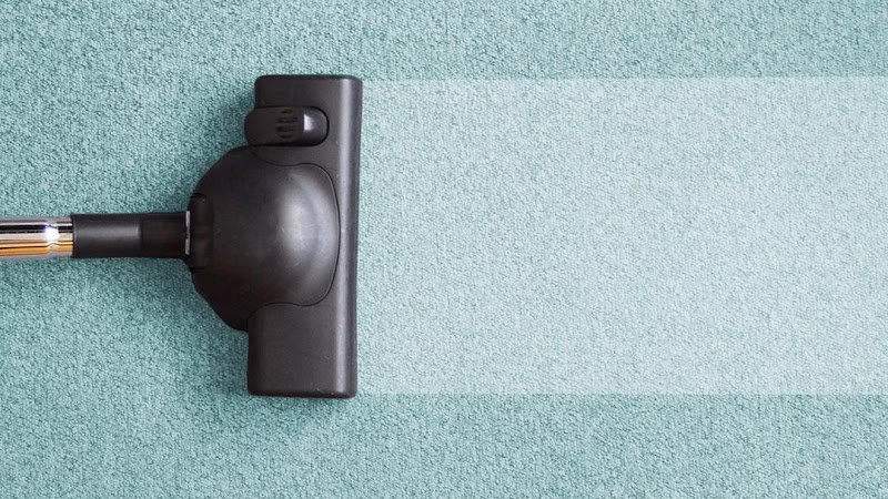 221234 dirty mans steam cleaning