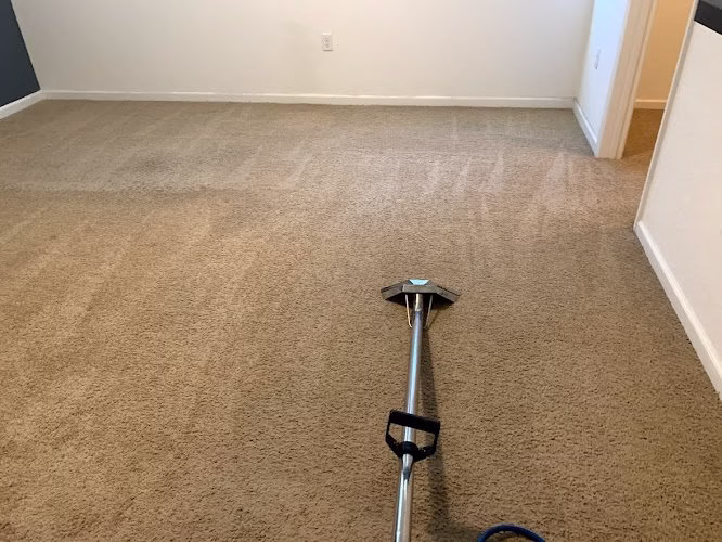 221343 carpet cleaning miami 1