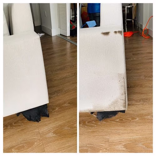 221359 miami upholstery cleaners