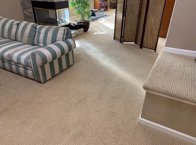 221426 on the spot carpet va