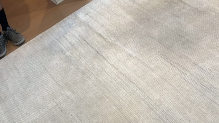 221433 dolphin rug care 768x432