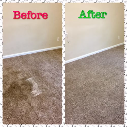 221435 5 star carpet cleaning