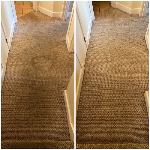 221465 bay area carpet master