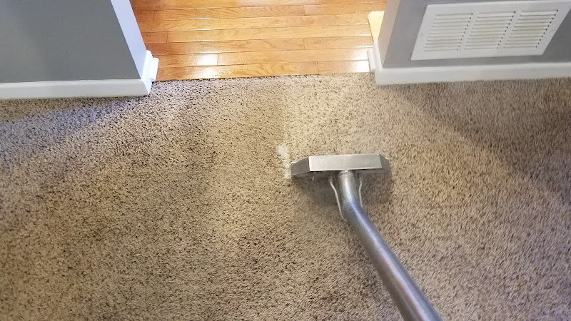 221504 ultra steam carpet upholstery cleaning