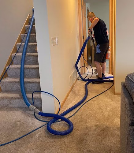 221516 bloomington carpet upholstery cleaning
