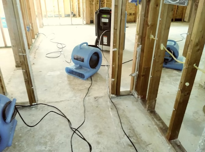 221598 accent cleaning restoration