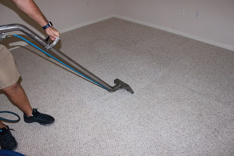 221667 bayside carpet and tile cleaners