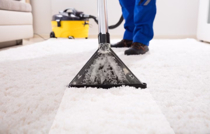 221735 carpet cleaning 8211 clean pro carpet cleaning