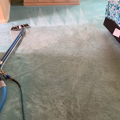 221837 safari carpet cleaning