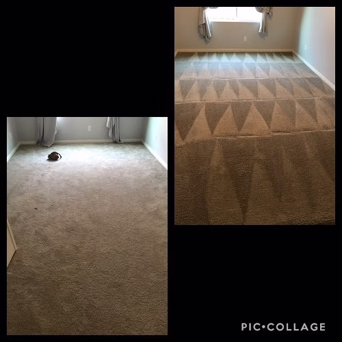 221845 alexs janitorial carpet cleaning