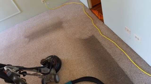 222048 americas best carpet cleaners