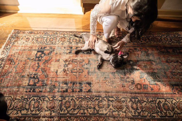 222059 clean rugs hawaii