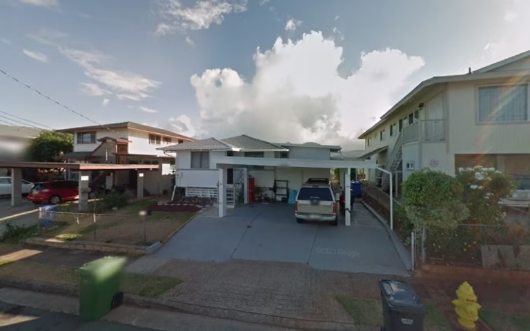 222075 bears carpet 1 768x480