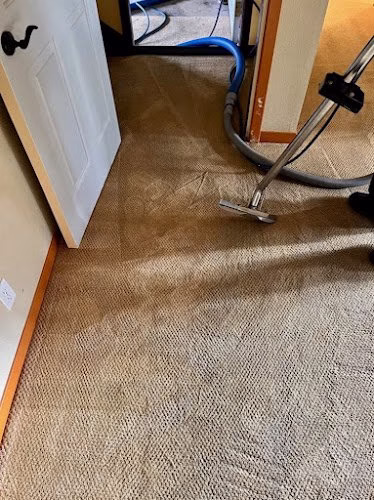 222096 supreme area rug cleaning