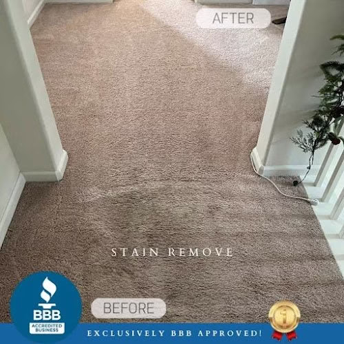 222113 carpet and duct cleaning