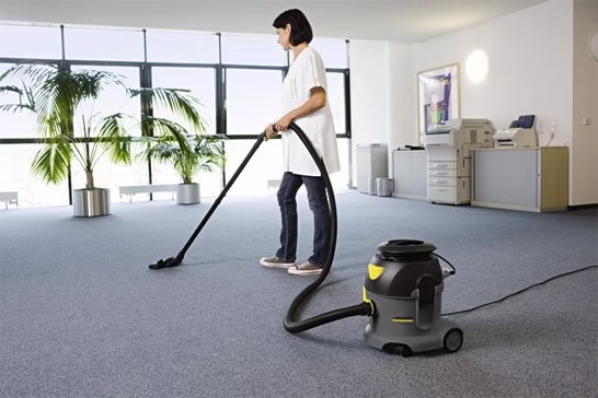 222454 ecopure cleaning services