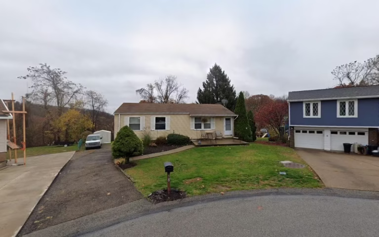 222569 bulldog carpet cleaning 768x480