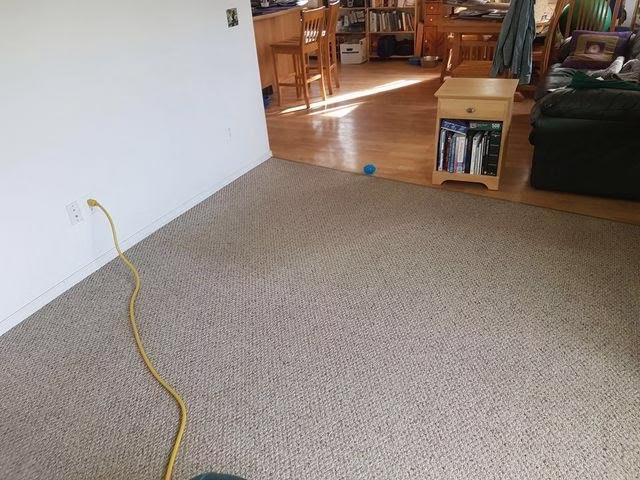 222670 heavens best carpet cleaning wasilla ak