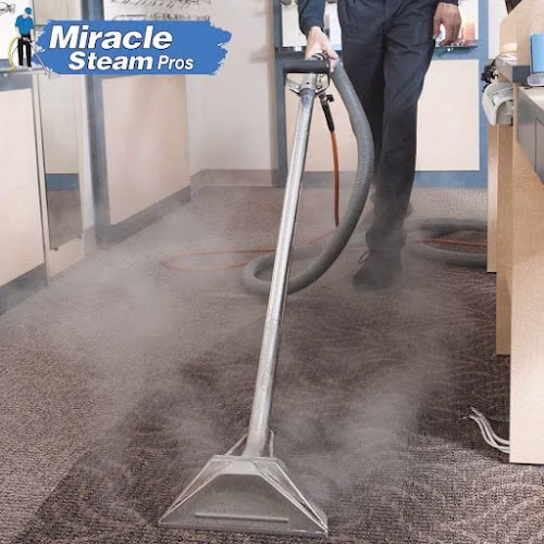 222728 miracle steam pros