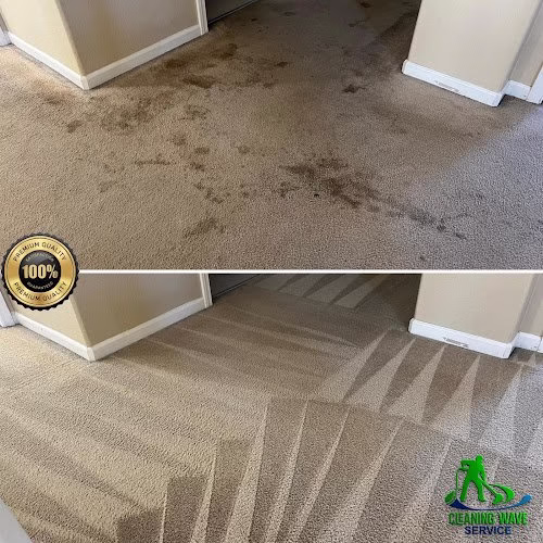 222856 cleaning wave service carpet cleaning upholstery tile grout