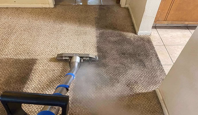 222882 logan carpet cleaning • kissimmee fl