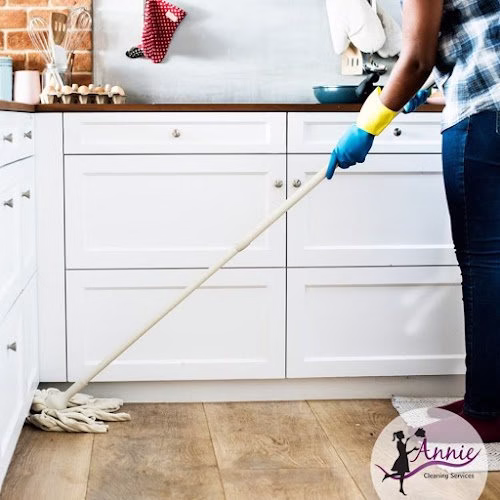 222888 annie cleaning services llc