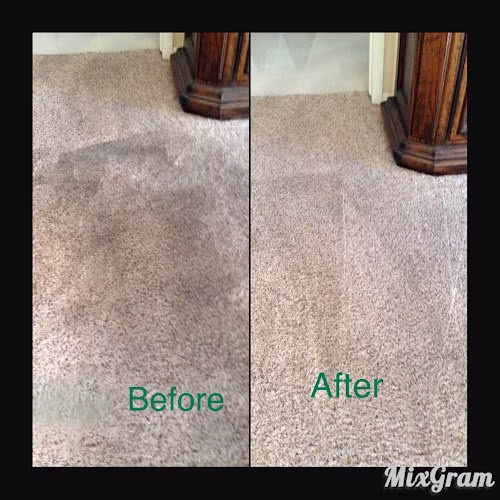 222923 pro green carpet clean