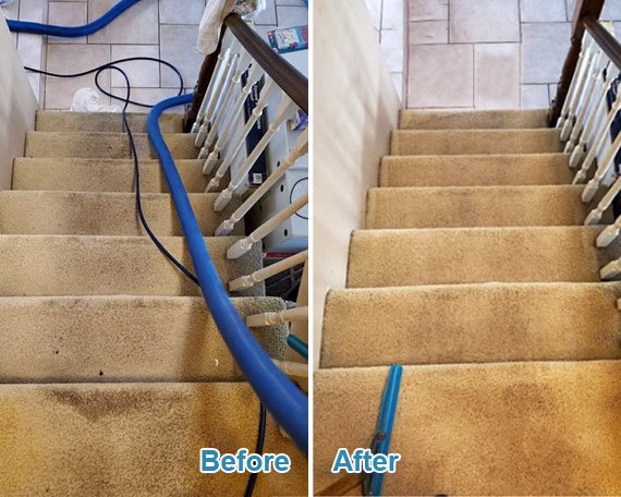 222926 steam master carpet cleaners