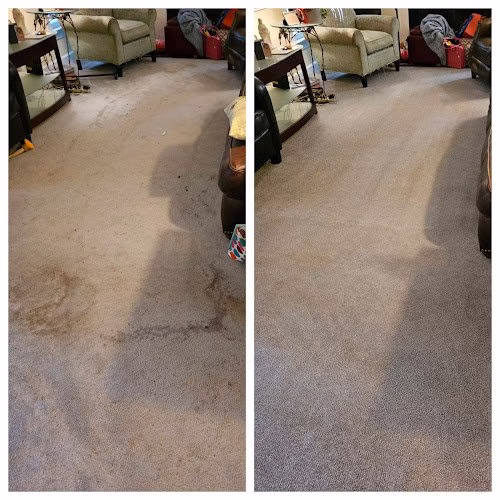 223037 spotless clean and carpet care